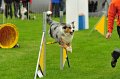2013-05-19 um 09-16-14